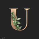 Universite