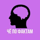 ЧЁ по ФАКТ