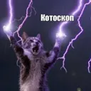 котоскоп