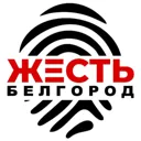 Жесть Белг