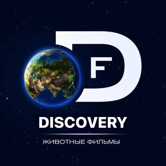 Discovery 