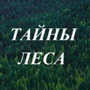 Тайны Леса
