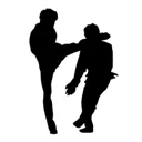 Кикбоксинг