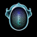 Radiology 