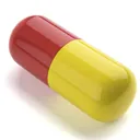 Первый лек