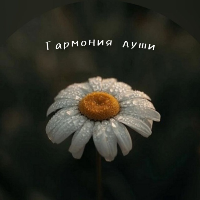 Гармония д