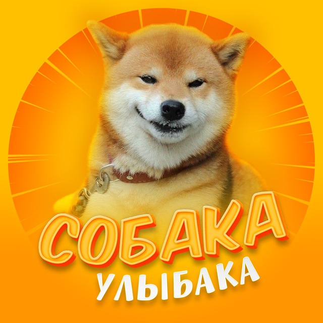 Собака-улы