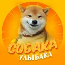 Собака-улы