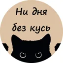Ни дня без