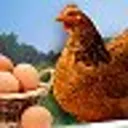 Птицеводст