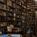 Двухтомный