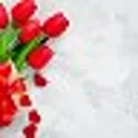 Поздравлен