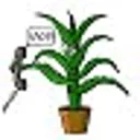 Карикатуры