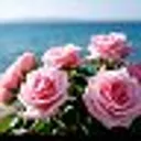 🌺ОТКРЫТКИ