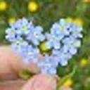 Психология