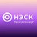 НЭСК