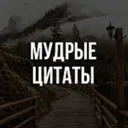 Мудрые цит
