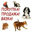 ЖИВОТНЫЕ п
