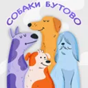 СОБАКИ БУТ