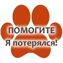 Потеряшки 