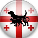 В Грузии с