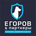 Егоров и п