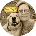 DogAngel З