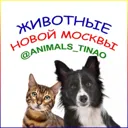 Животные Н