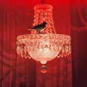 bird’s hom