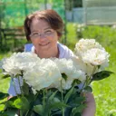 🌺 Пионовы