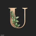 Universite