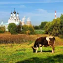 Замкадье |