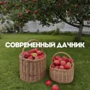 Современны