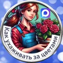 Как ухажив